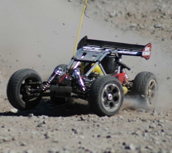 buggy cage